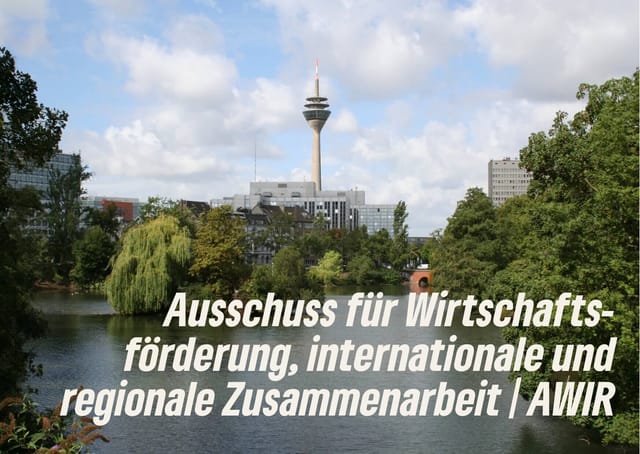 Ausschuss für Wirtschaftsförderung, internationale und regionale Zusammenarbeit