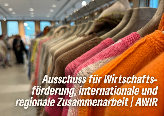 Ausschuss für Wirtschaftsförderung, internationale und regionale Zusammenarbeit