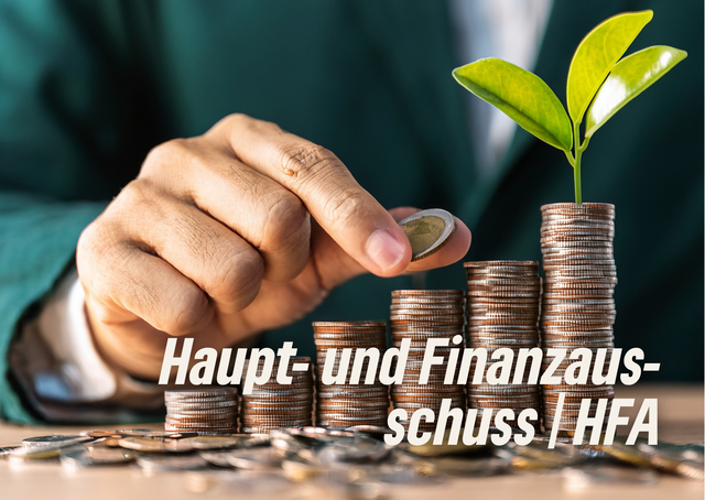 Haupt- und Finanzausschuss
