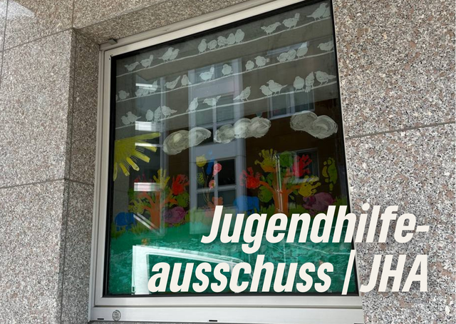 Jugendhilfeausschuss