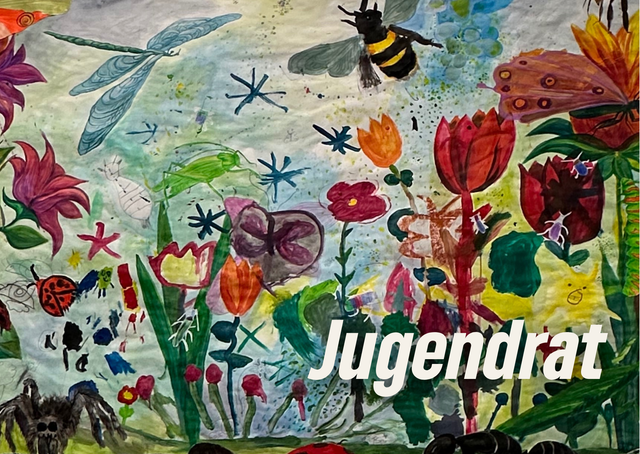 Jugendrat