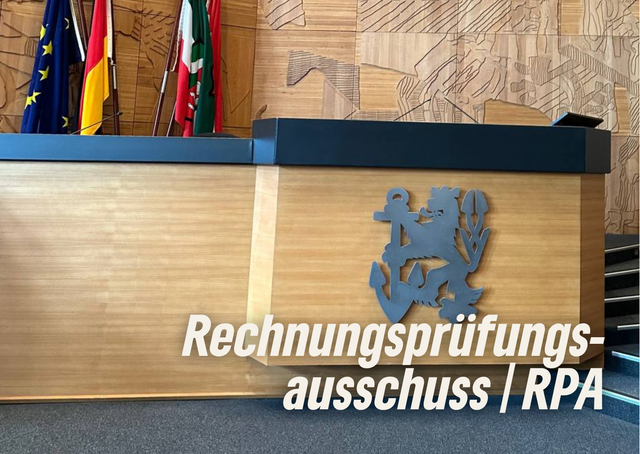 Rechnungsprüfungsausschuss