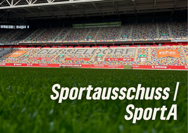 Sportausschuss