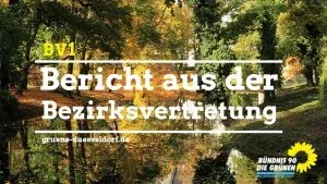 Bericht aus der BV vom 11.11.2016