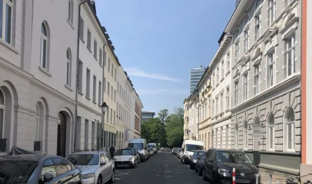 Baumpflanzungen südlich des Carlsplatzes