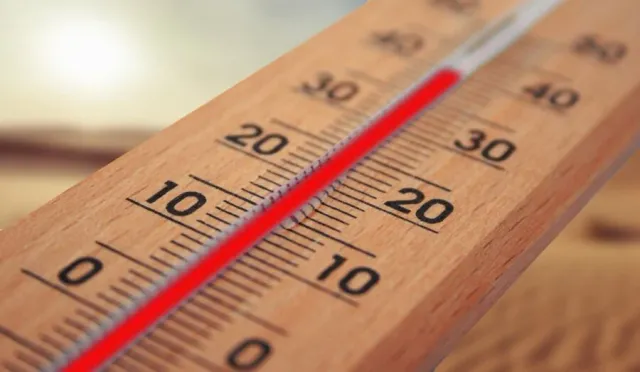 Hitzewellen und die Konsequenzen – Klimaanpassungsmaßnahmen in Düsseldorf