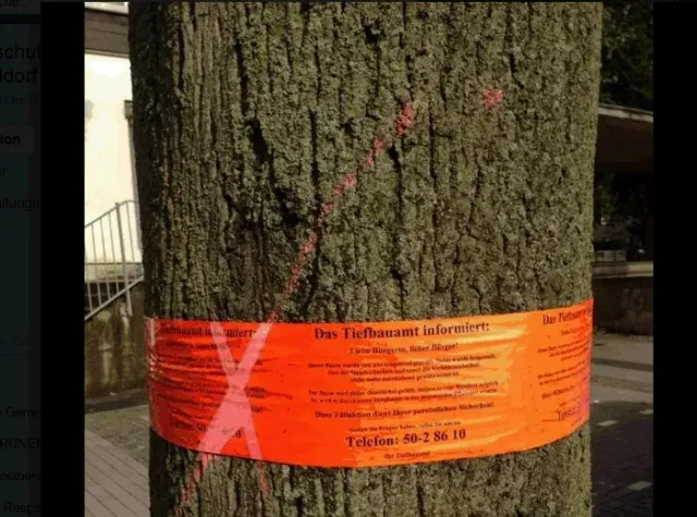 Information über Baumfällung