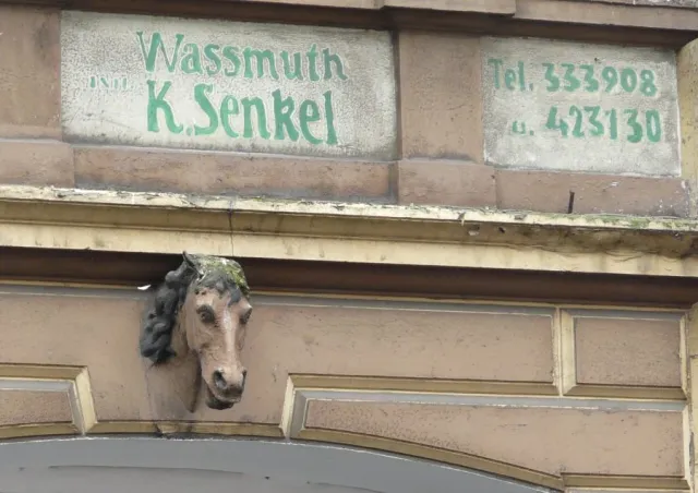 Pferdekopf in Not